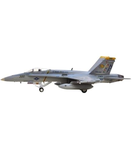 Amazon.com: Hogan Usn F/A-18C 1/200 VFA192 NF300 Golden Dragons