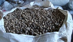 image for Paris Fragrances & Cosmetics Supplies, INC Murumuru Butter (8 Oz) - Ra