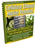 Cellulose Ethanol Market Potential, Energy Business Reports, 1607256355