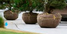 Aayu's Eco-friendly disposable Wire basket burlap Planter liners | hanging Planter jute liners | Double layer | Food Grade Burlap | 40 x 40 Inch | root ball burlapping