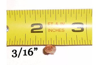 72" Leather Belt Singer Treadle Sewing Machine - 3/16" (5mm) by Ministry of Warehouse