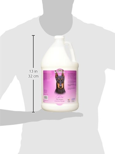 BG So-Gentle Hypo-Allergenic Creme Rinse