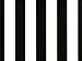 Trendy Brand New Black & White Stripes Wrap Wrapping Paper Roll 16 Foot