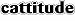 Imagine This Cattitude Car Magnet, 7-Inch by 2-Inch