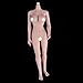 Flameer 1/6 Scale Female Seamless Body Large Bust Stainless Steel Figure Doll Gift New Wheat Skin