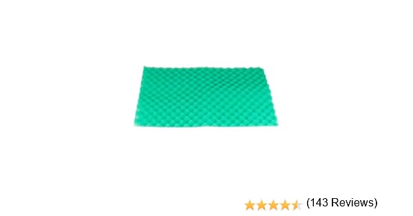 Rayen 6313.50 - Base conservante para Nevera: Amazon.es: Hogar