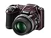 Nikon COOLPIX L820 16 MP Digital Camera with 30x Zoom (Plum)