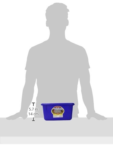 Little Giant6 Quart Blue Mini Feeder  MF6-BLUE