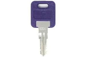 RV WHOLESALE DIRECT 1 Pair (2 Keys) Global Link Precut Keys G301 - G391 Select Your Key Number (G391)