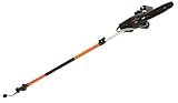 Remington RM1025P Ranger I 8-Amp Electric 2-in-1 Pole Saw & Chainsaw with 10-Foot Telescoping Shaft and 10-Inch Bar for Tree Trimming and Pruning