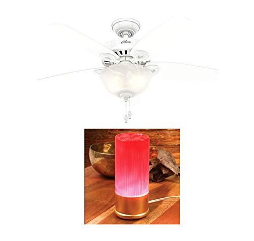Hunter 42 Builder Small Room Snow White Ceiling Fan With Light