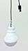 SunJack CampLight (TM) USB LED Bulb 340 Lumens - Cool White (for Camping, Hiking, Fishing, Backpacking and Other Outdoor Activities, as Well as Emergency)