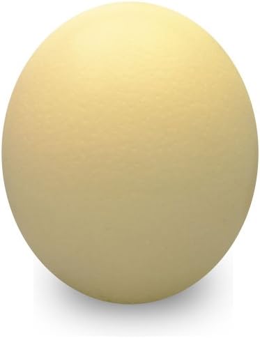 Uniquely Emu Genuine Ostrich Eggshell