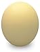 Premium Ostrich Eggshell - Grade B - Jumbo Size