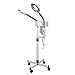 Super Deal PRO 2 in 1 Multi-function Aroma Therapy Hot Facial Ozone Steamer w/ Desktop LED Magnifying Floor Lamp, Metal Stand Base Adjustable Height, Salon Spa Face Treatment Home Skin Care Equipment