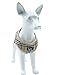 PUPTECK Soft Mesh Dog Harness and Leash Set Pet Puppy Cat Comfort Padded Vest No Pull Harnesses, Cream, XL
