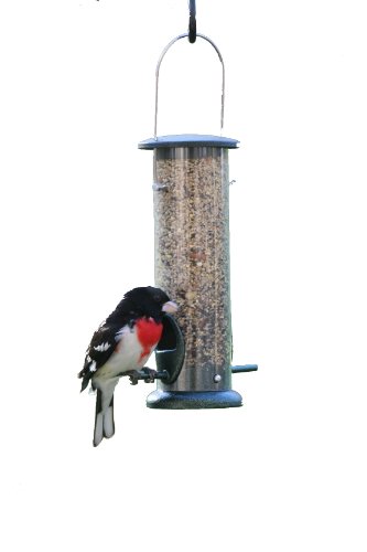 Birds Choice 2 Cup, 2 Port Tube Feeder