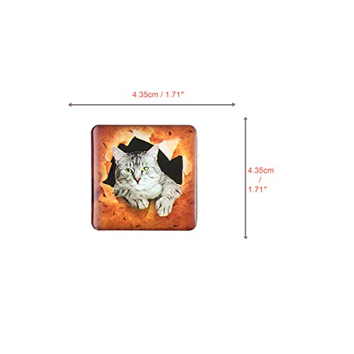 SUPCOOKI 6pcs Beautiful Glass Refrigerator Magnets 3D Cat Magnets Fun Funny Fridge Stickers Cute Home Decoration Funny for Office Cabinets Whiteboards Decorative Photo Abstract