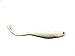 Extreme Jigging Shad Soft Fishing Bass, Flounder, Sea Trout Lure 5