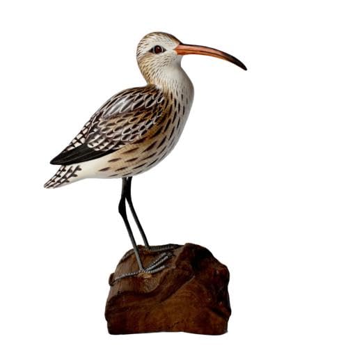 Shared Earth Curlew On Tree Trunk, Hand Carved Wooden Indoor/garden Ornament 23cm