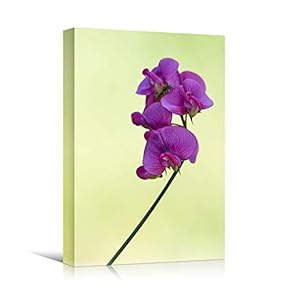 signwin Canvas Wall Art Purple Flower Portraiture Colorful...