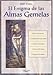 ENIGMA DE LAS ALMAS GEMELAS, EL (SIN COLECCION)