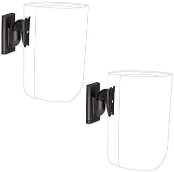 amazon roku speakers