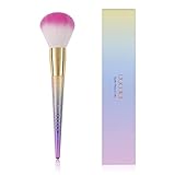 Professional Face Makeup Brushes, Soft Large Face Brush Blush Brush Powder Foundation Tool, Make up Brushes Set Stage Makeup Tools (Face Brush)