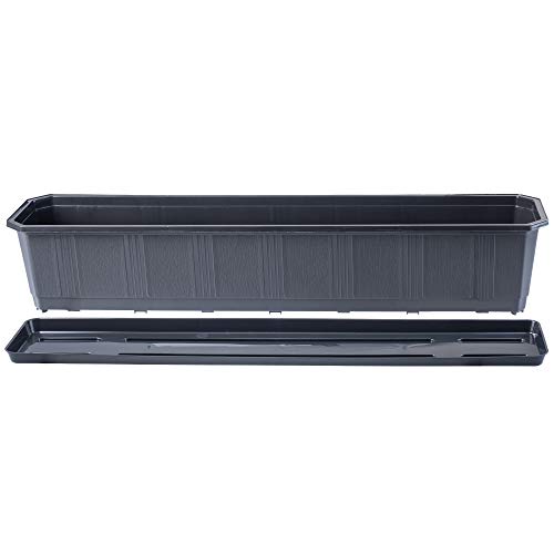 KADAX Blumenkasten, Pflanzkasten mit Untersetzer, rechteckiger Blumentopf aus Kunststoff, Pflanzgefäß für Innen- und… – Bild 4