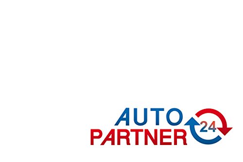 MAPCO V-Belt (131200)