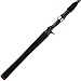 Piscifun Torrent I Baitcasting Rod Portable Two Piece Casting Rod Baitcaster Rod (6'6
