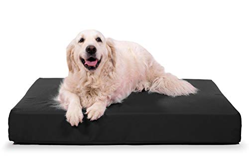 large chew proof dog bed