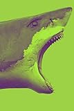Shark: Great White 2019 Organizer Daily Weekly & Monthly Calendar Planner by DMS Books