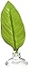 Zoo Med Laboratories AZMBL20 Betta Hammock (2 Pack)
