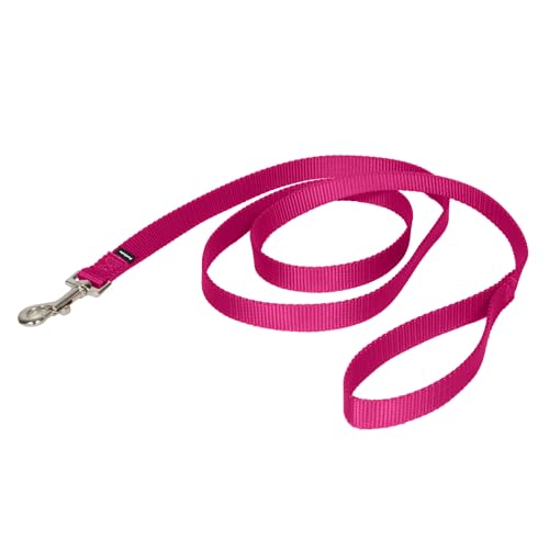 PetSafe Nylon Dog Leash Strong, Durable, Traditional Style Lead with Easy to Us…