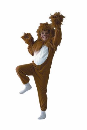 Child ECONOMY Lion Costume (socks and face paint not included)