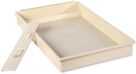 rescue puppies near me for sale