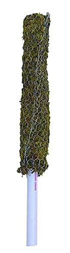 PlantaZee Moss Stick 5 Ft - 1 Pieces -Moss & Coir Stick for Plant Support, Indoor Plants, House Plants & Plant Creepers