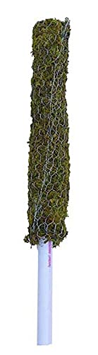 PlantaZee Moss Stick - Coir Stick for Indoor, House and Plant Creepers Support (3 ft) Pack of 1