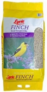 Lyric Finch - Small Songbird Wild Bird Seed - Attracts Goldfinches