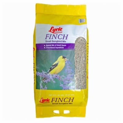 Lyric Finch - Small Songbird Wild Bird Seed - Attracts Goldfinches
