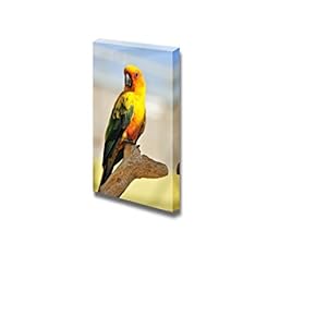 Canvas Prints Wall Art - Tropical Yellow Parrot with Green Wings, Sitting on a Wood Stick | Modern Wall Decor/Home Decoration Stretched Gallery Canvas - 12" x 18"