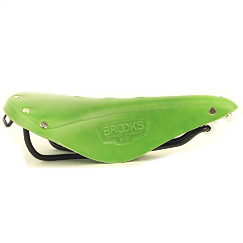 Brooks Saddles B17 Standard Bike Saddle, Apple Green/Black Steel
