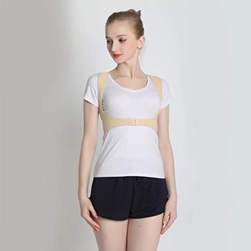 image for Liobaba Comfort Posture Corrector Back Support Brace for Men and Women
