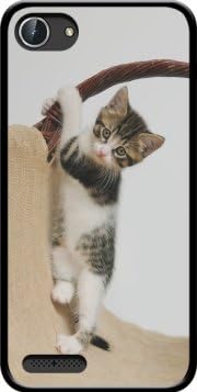 Mobilinnov Coque Archos 40 Neon En Silicone Avec Design Bebe Chat Mignon Chaton Escalade Amazon Fr High Tech