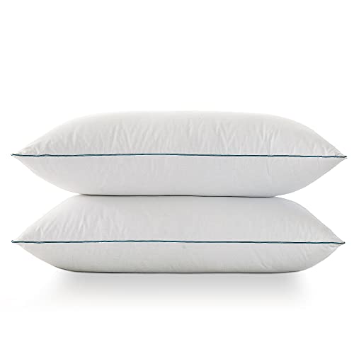 Basic Beyond Feather Pillows Standard Size Set of 2 Down Feather