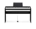 Casio Privia PX-160 Digital Piano - Black Bundle with CS-67 Stand, SP-33 Pedal, Furniture Bench, Instructional Book, Austin Bazaar Instructional DVD, and Polishing Cloth