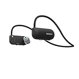 Sony Wireless Sport Headphones with Music Player, GPS/HR, Fitness Tracking, SSEBTR1/B
