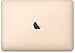Apple MacBook MLHE2LL/A 12-Inch Laptop with Retina Display, Gold, 256 GB (Discontinued by Manufacturer)
