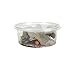 Josh's Frogs Pinhead Banded Crickets (1000 Count)